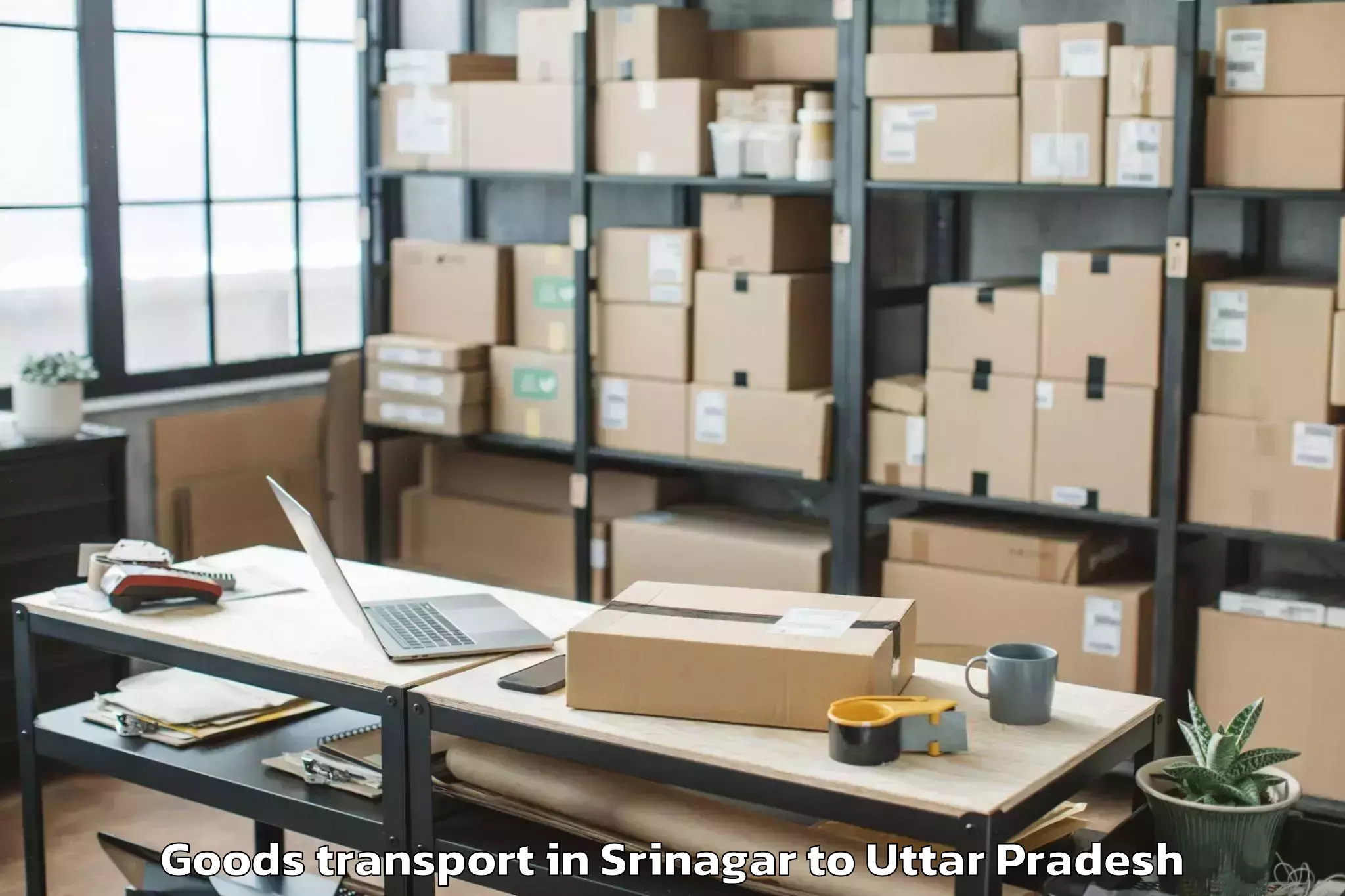 Affordable Srinagar to Barabanki Goods Transport